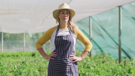 video of happy caucasian woman wearing apron and standing in greenhouse