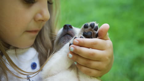 Vista-Cercana-De-Una-Linda-Niña-Rubia-Sosteniendo-Y-Acariciando-A-Un-Cachorro-Labrador-En-El-Parque