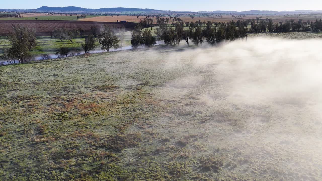 Aerial wide shot of dense morning fog drifting across a grassy meadow with scattered trees, soft natural lighting, and smooth lateral camera movement
