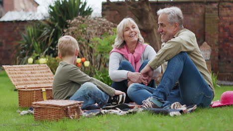 family picnic in the garden