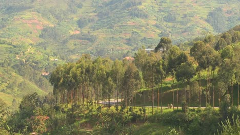 Minibús-Y-Minivan-Viajan-Por-Una-Empinada-Carretera-De-Montaña-En-Ruanda