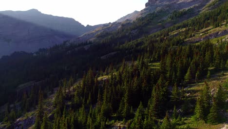 Vuelo-Aéreo-Hacia-El-Bosque-Alpino,-Kananaskis,-Alberta,-Canadá