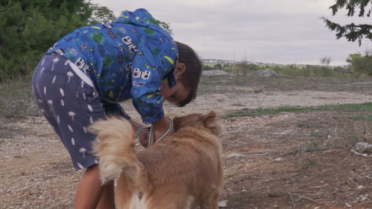 백인 소년 유아는 들판에서 중간 크기의 코코니 품종의 개를 풀고 슬로우 모션 120fps