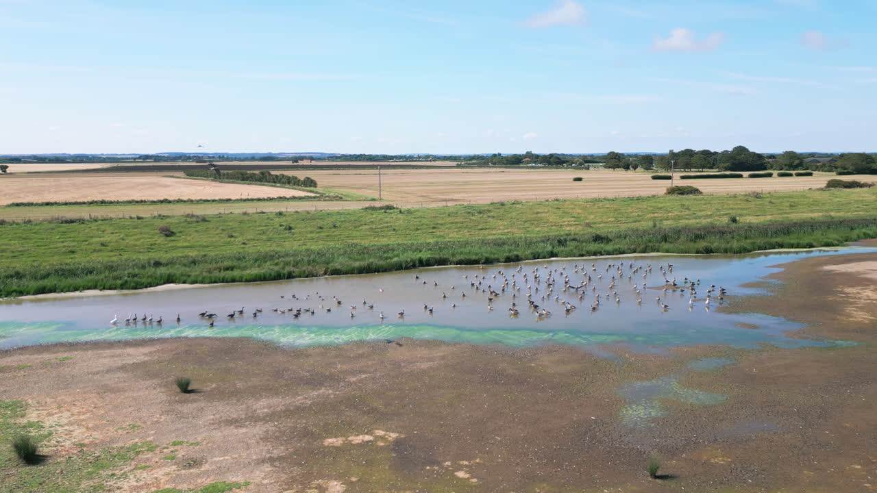 항공 영상 은 링컨셔 해안 을 따라 있는 소금물 습지 의 놀라운 전망 을 제공 하며, 날아다니는 바다 새 들 과 호수 와 내륙 호수 들 을 강조 한다.