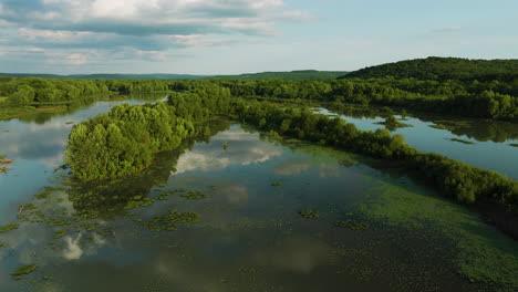 lake sequoyah with lush vegetation in arkansas, usa - aerial drone shot