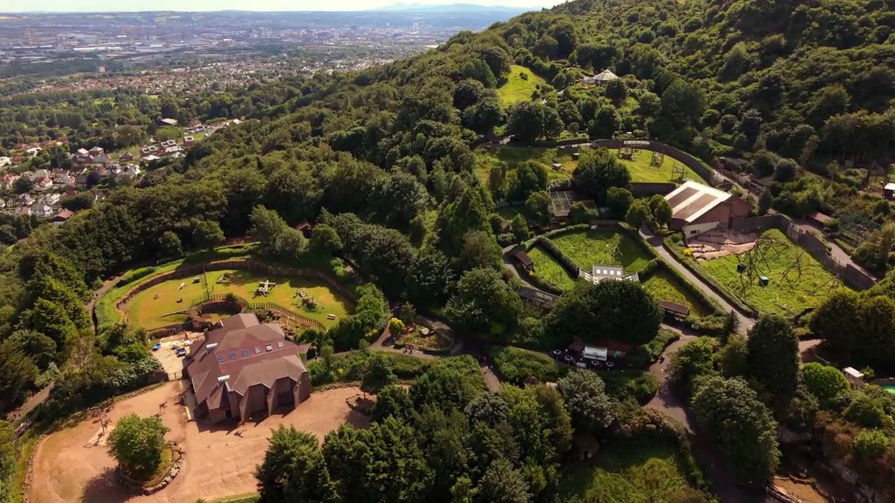 Video trên không 4K 60FPS tiên tiến về Sở thú Belfast và Cavehill ở Bắc Belfast, Bắc Ireland, Vương quốc Anh vào một ngày nắng đẹp. Được sản xuất với màu Rec709