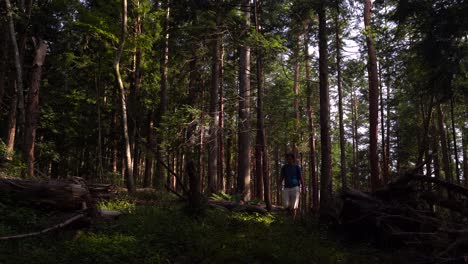 Young-male-hiker-walking-through-sun-flooded-forest-during-sunset-towards-camera