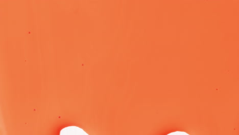 transición de flujo de pintura líquida de color naranja abstracto con fondo blanco