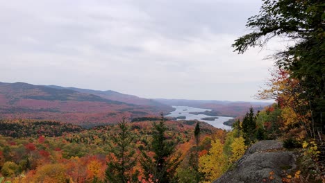 cinematic panorama shot of many-coloured native trees overlooking a lake