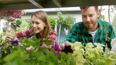 Smiling-young-man-and-woman-gardeners-taking-care-of-flowers-and-plants