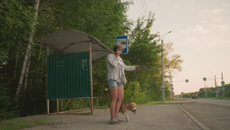 dog owner standing at bus stop in rural area holding dog on leash while talking on phone looking contemplative, surroundings include green trees, bus stop shelter, and road with passing cars