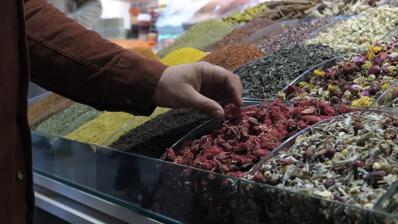 adolescente caminando en el bosque marchito en otoño