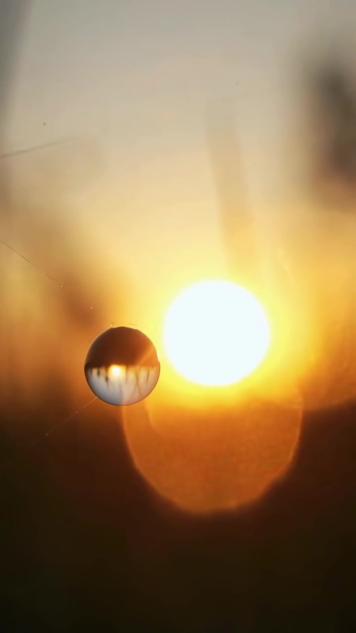 Serene Golden Hour Moments in Nature with Sun Reflections