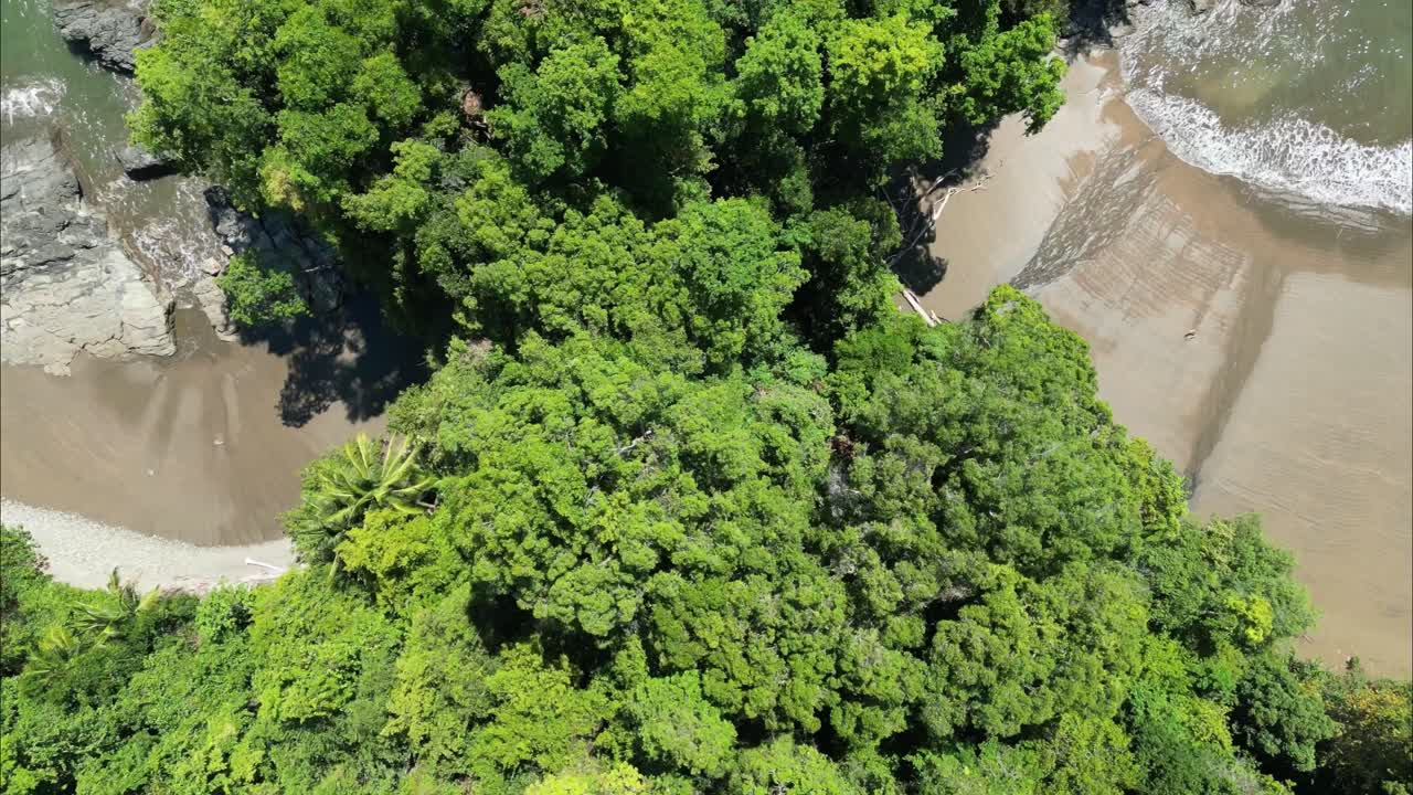 volando de la densa vegetación al mar en costa rica durante el día con luz brillante