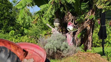 a scarecrow stands among lush greenery as a tractor passes by in bright daylight, with smooth lateral camera movement and vibrant natural colors