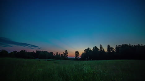 beautiful sunrise of a meadow with forest in the background under a blue sky with yellow and orange colors in the passing clouds