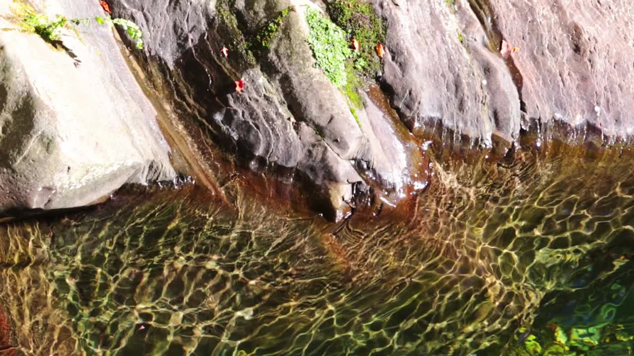 Clear water next to a rocky shore on a sunny day