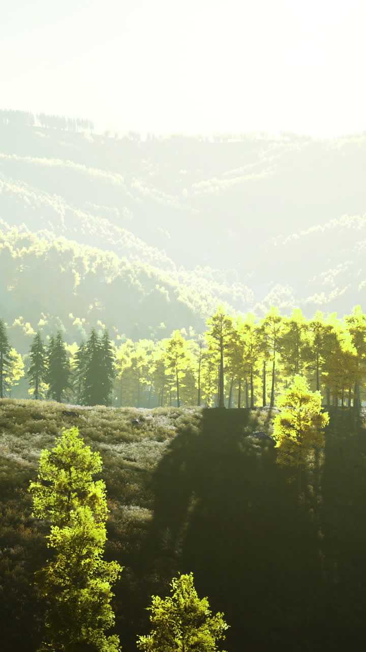 Breathtaking view of golden trees dancing in sunlight over misty mountains