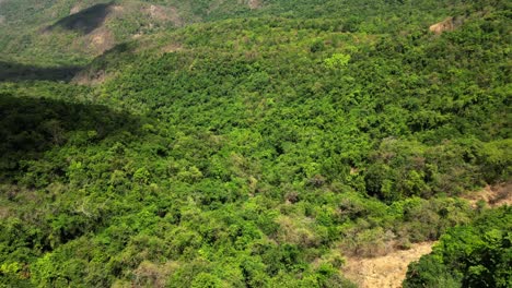 Bosques-De-Los-Ghats-Occidentales-India