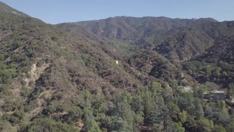 volando sobre los árboles de montaña de los ángeles cámara panorámica hacia abajo