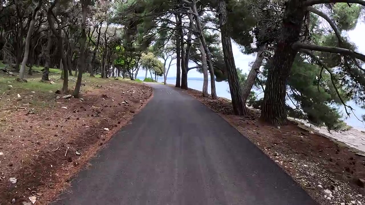 Tour ciclistico costiero tra i pini e i sentieri sul mare sull'isola di Brioni in Croazia POV