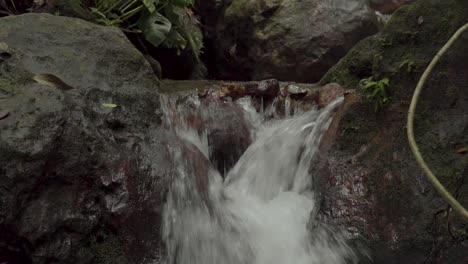 stream running fast in tropical rainforest