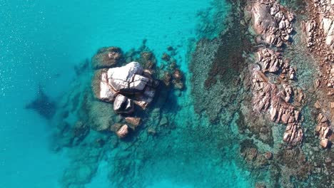 drone aéreo de arriba hacia abajo de la roca del castillo rodeada de hermosas aguas turquesas en el oeste de australia