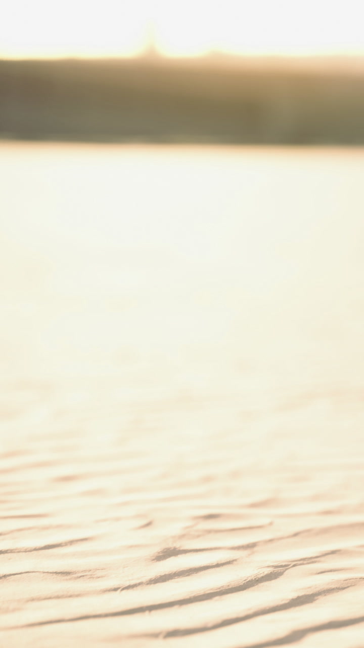 Golden sands glisten under warm sunlight at a peaceful lakeside retreat
