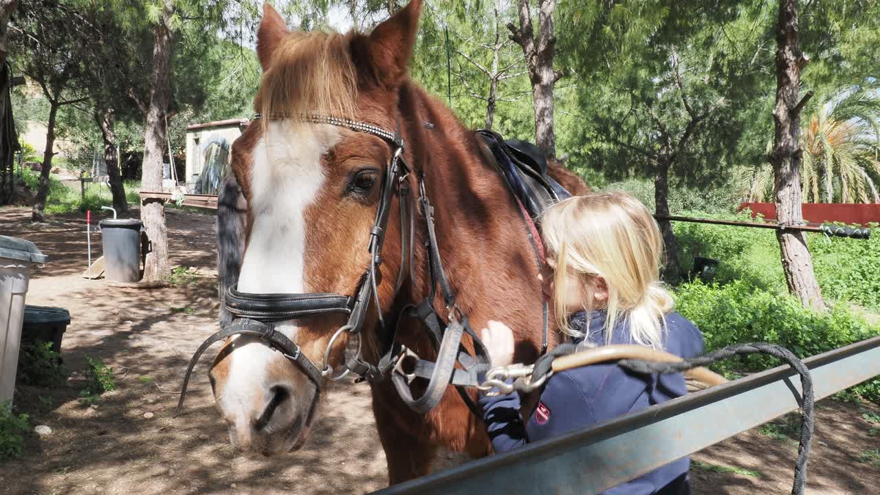 Child interacts with a horse
