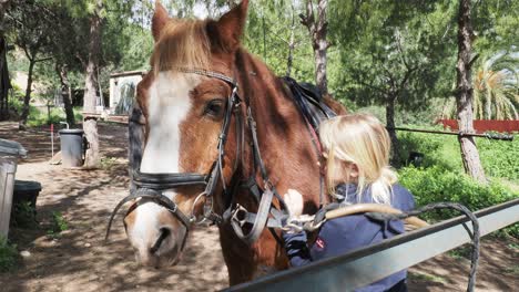 child interacts with a horse