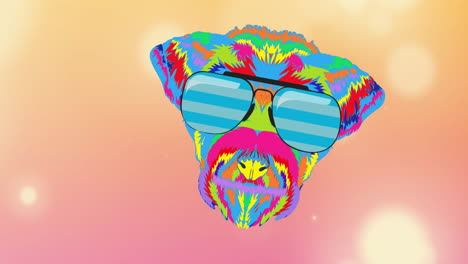 animation of rainbow dog in glasses on orange background
