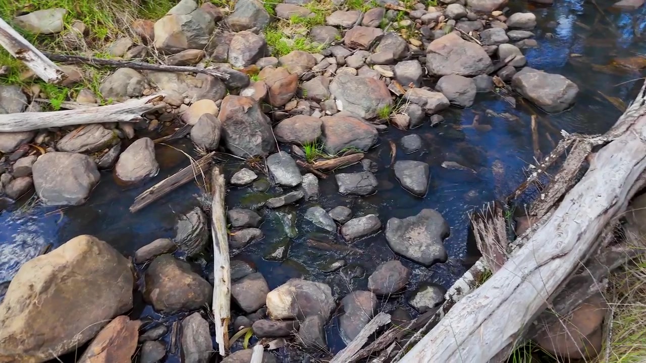 Air jernih mengalir lembut di atas bebatuan di aliran sungai hutan.