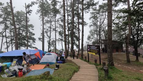 campers setting up tents in a foggy woodland