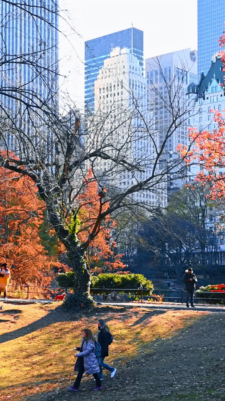 Central Park in autumn and Manhattan skyscrapers, New York City