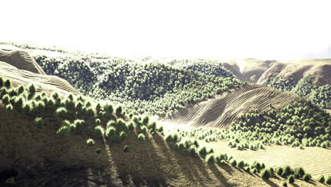 lush green hills under bright sunlight in a peaceful natural setting