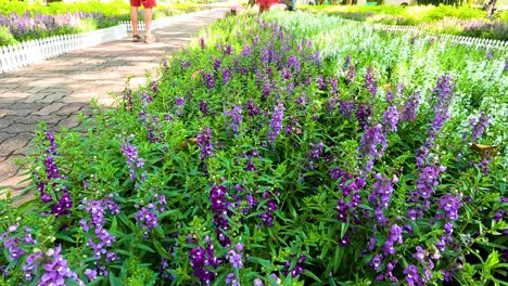 people walking among vibrant flowers in bangkok