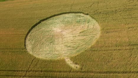 Crop-Circle-In-Wheat-Field-At-Daytime---Aerial-Drone-Shot