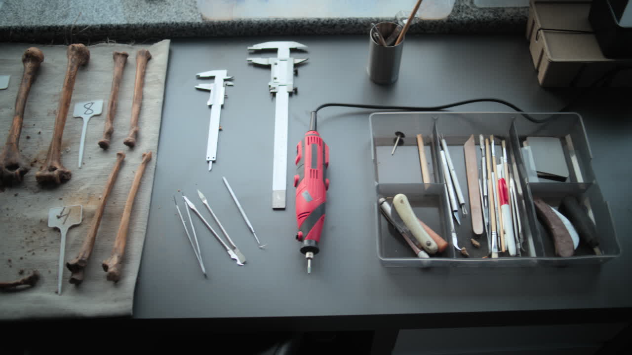 현미경, 노트북, 이미징 장비 를 탑재 한 실험실 작업장