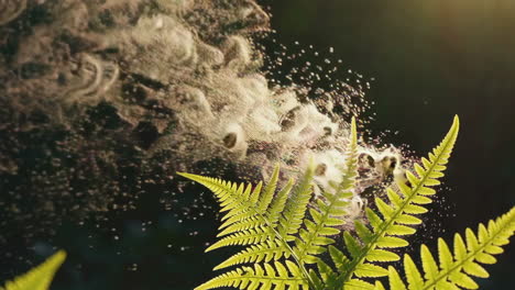 fern and smoke explosion