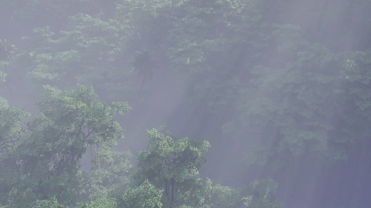 Lush green forest enveloped in mist at dawn in a tranquil environment
