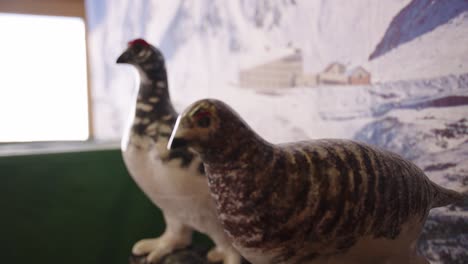 japanese "raichou" rock ptarmigan models in japanese alps, toyama