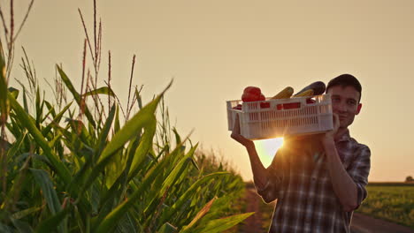 agricultor con una canasta de cosecha en un campo de maíz al atardecer