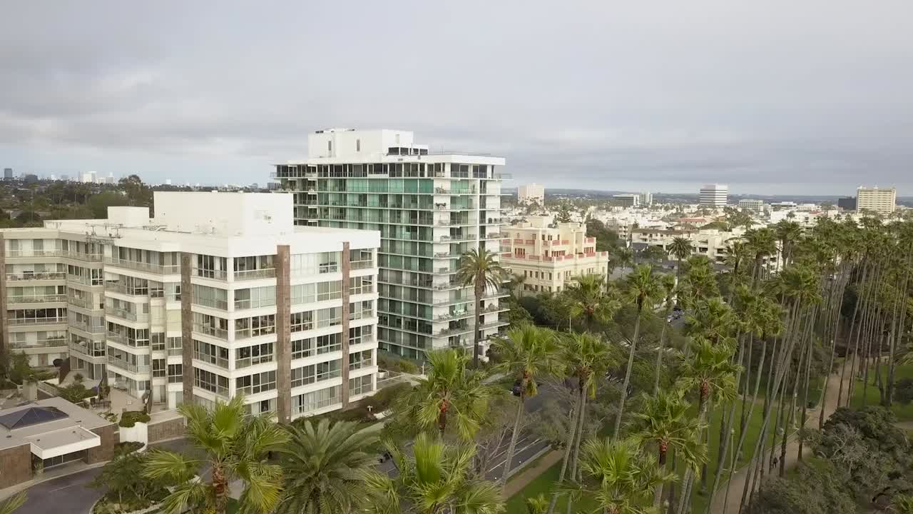 Flying over the tall palm trees of Santa Monica, California