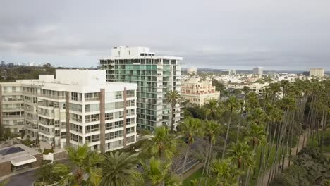 flying over the tall palm trees of santa monica, california