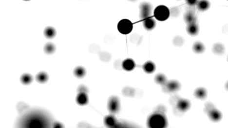 plexus abstract beautiful geometric white background with moving black lines, dots and triangles. loop animations.