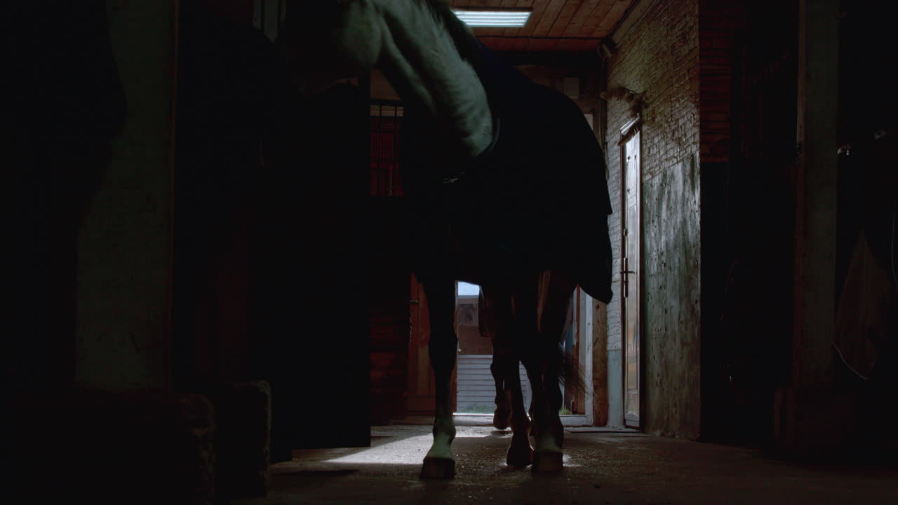 animales que entran en los establos