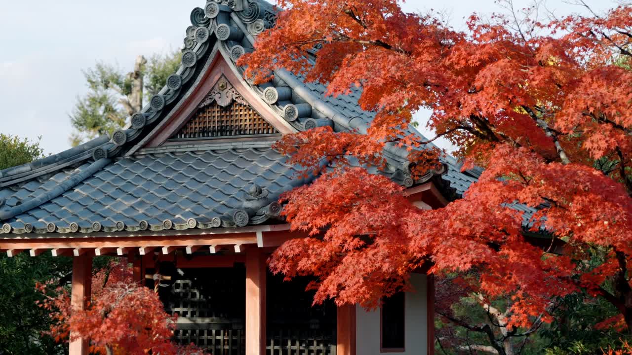 A traditional Japanese temple nestled among vibrant red maple trees during autumn.