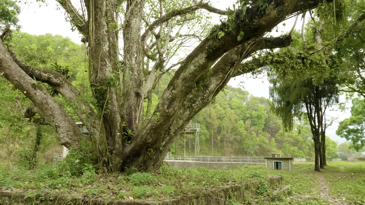 네팔 포카라에 있는 그린 파크