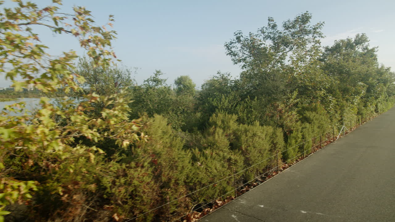 나무가 늘어선 길