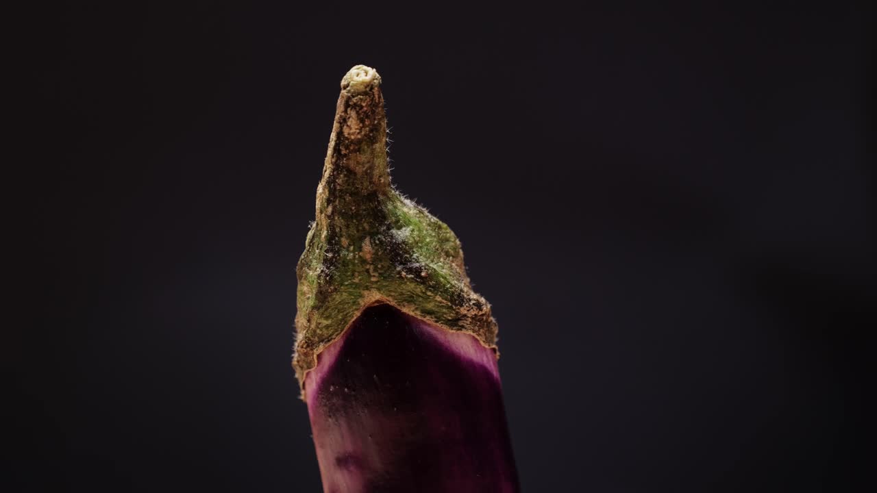 Close-up of Eggplant Tip